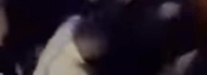 Άγριο ξύλο στη Μύκονο με πρωταγωνιστή παίκτη μεγάλης ομάδας! (ΒΙΝΤΕΟ)